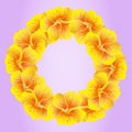 Bright Nasturtium wreath. Wild Yellow flowers. BeautifulÃÂ Floral circle isolated on pink background. Vector